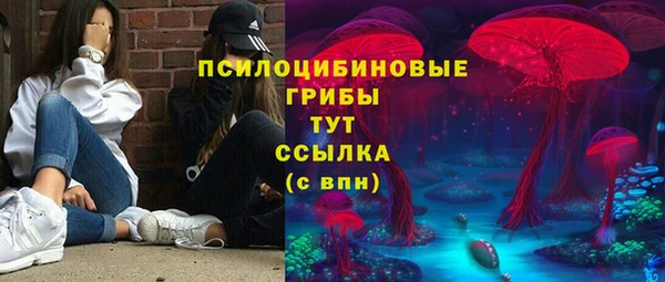 ГАЛЛЮЦИНОГЕННЫЕ ГРИБЫ Баксан