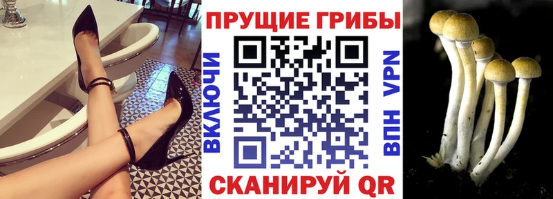 hydra как зайти  Давлеканово  Псилоцибиновые грибы Cubensis  что такое наркотик 